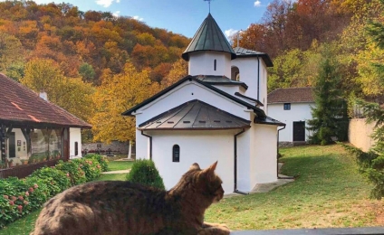 Манастир Вољавча – фотографија игуманије Евгеније